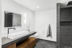 10378 Grande Vista Ct, Lone Tree, CO 80124 - Photo 45
