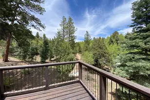 1927 Basin Dr, Cotopaxi, CO 81223 - Photo 3