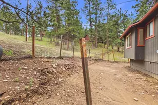 784 Mockingbird Trail, Bailey, CO 80421 - Photo 37