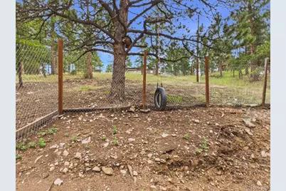 784 Mockingbird Trail, Bailey, CO 80421 - Photo 39