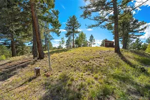 176 Chalk Circle Trail, Florissant, CO 80816 - Photo 43
