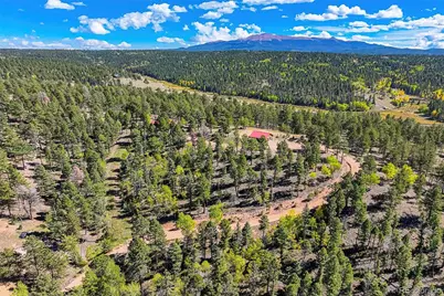 176 Chalk Circle Trail, Florissant, CO 80816 - Photo 49