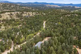 1365 Burland Dr, Bailey, CO 80421 - Photo 27