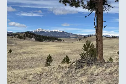 443 Saddle Horn Road, Hartsel, CO 80449 - Photo 7