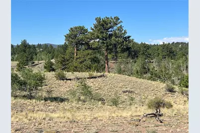 443 Saddle Horn Road, Hartsel, CO 80449 - Photo 9
