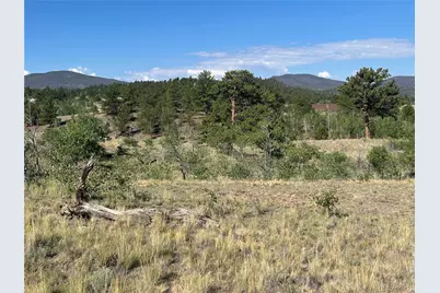 443 Saddle Horn Road, Hartsel, CO 80449 - Photo 11