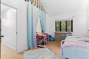 32351 Lodgepole Dr, Evergreen, CO 80439 - Photo 33