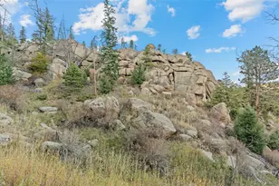 32351 Lodgepole Dr, Evergreen, CO 80439 - Photo 29