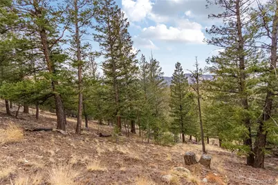 000 Upper Moss Rock Road, Golden, CO 80401 - Photo 5
