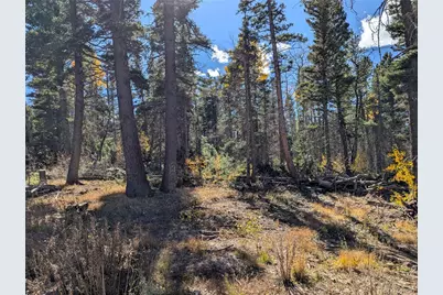 2448 Petito Drive, Fort Garland, CO 81133 - Photo 7