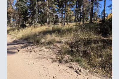 2448 Petito Drive, Fort Garland, CO 81133 - Photo 5