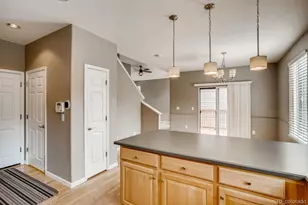 10594 Jewelberry Trail, Highlands Ranch, CO 80130 - Photo 11
