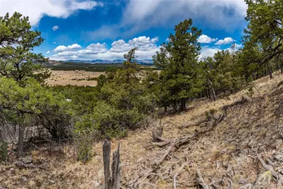 2126 E Path, Cotopaxi, CO 81223 - Photo 39