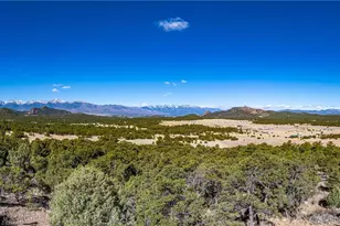 2126 E Path, Cotopaxi, CO 81223 - Photo 43