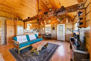 2126 E Path, Cotopaxi, CO 81223 - Photo 11