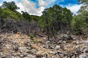 2126 E Path, Cotopaxi, CO 81223 - Photo 41