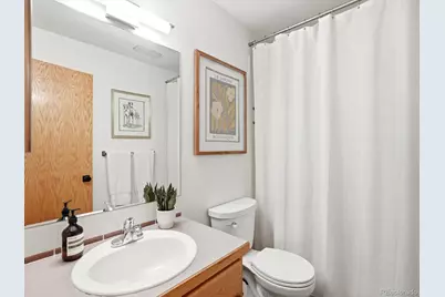 5931 Silver Thorn Run, Littleton, CO 80125 - Photo 27
