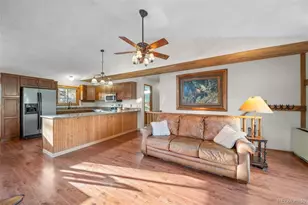 65 Doe Cir, Bailey, CO 80421 - Photo 29