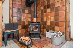 65 Doe Cir, Bailey, CO 80421 - Photo 13