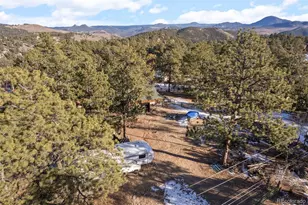 65 Doe Cir, Bailey, CO 80421 - Photo 33