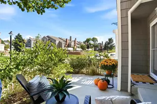 9023 Bear Mountain Dr, Highlands Ranch, CO 80126 - Photo 3