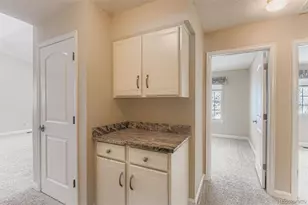 1053 Fieldstone Pl, Highlands Ranch, CO 80126 - Photo 25