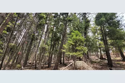 13985 Boulder Lane, Larkspur, CO 80118 - Photo 15