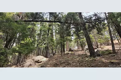 13985 Boulder Lane, Larkspur, CO 80118 - Photo 17