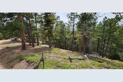 13985 Boulder Lane, Larkspur, CO 80118 - Photo 9
