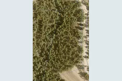 13985 Boulder Lane, Larkspur, CO 80118 - Photo 35