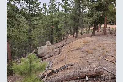 13985 Boulder Lane, Larkspur, CO 80118 - Photo 7