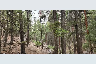 13985 Boulder Lane, Larkspur, CO 80118 - Photo 23