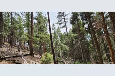 13985 Boulder Lane, Larkspur, CO 80118 - Photo 21