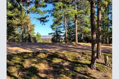 13985 Boulder Lane, Larkspur, CO 80118 - Photo 11