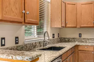 10244 Royal Eagle St, Highlands Ranch, CO 80129 - Photo 19