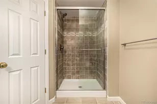 10244 Royal Eagle St, Highlands Ranch, CO 80129 - Photo 35