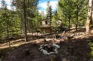 22297 Co Rd 292D, Nathrop, CO 81236 - Photo 47