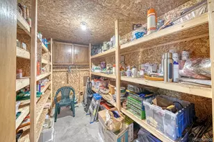 22297 Co Rd 292D, Nathrop, CO 81236 - Photo 29