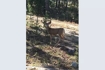 99 Gcr 490, Grand Lake, CO 80447 - Photo 13