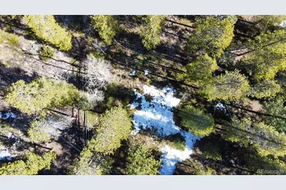 18961 Wagon Trail, Buena Vista, CO 81211 - Photo 9