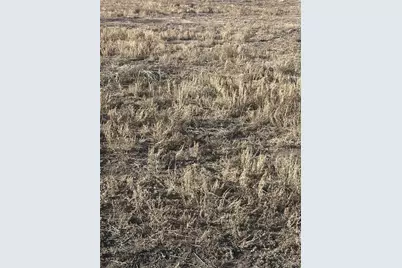 Lot 7 San Luis Valley Ranches, Blanca, CO 81123 - Photo 3