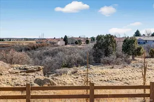 588 Silver Rock Trl, Castle Rock, CO 80104 - Photo 23