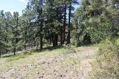 11702 Overlook Drive, Golden, CO 80403 - Photo 7