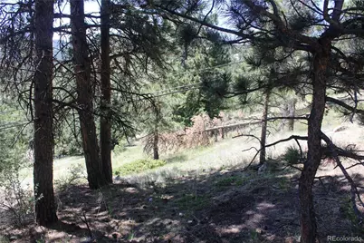 11702 Overlook Drive, Golden, CO 80403 - Photo 17