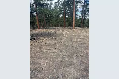 185 Sioux Trail, Westcliffe, CO 81252 - Photo 1