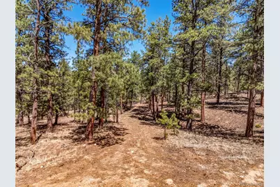 185 Sioux Trail, Westcliffe, CO 81252 - Photo 3