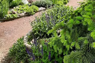 9795 Morrison Rd, Lakewood, CO 80227 - Photo 27