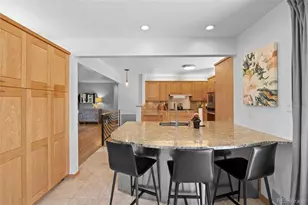 3696 S Hibiscus Way, Denver, CO 80237 - Photo 9