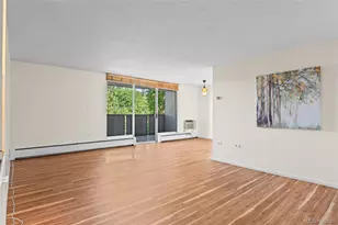 1085 N Lafayette Street, Denver, CO 80218 - Photo 3