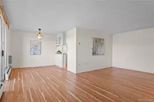 1085 N Lafayette Street, Denver, CO 80218 - Photo 5